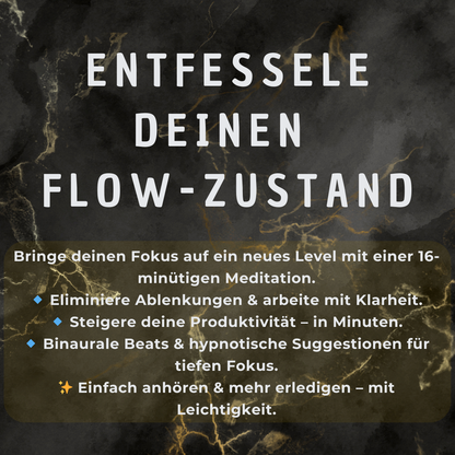 FlowBooster Meditation : Erledige mehr, 2x schneller